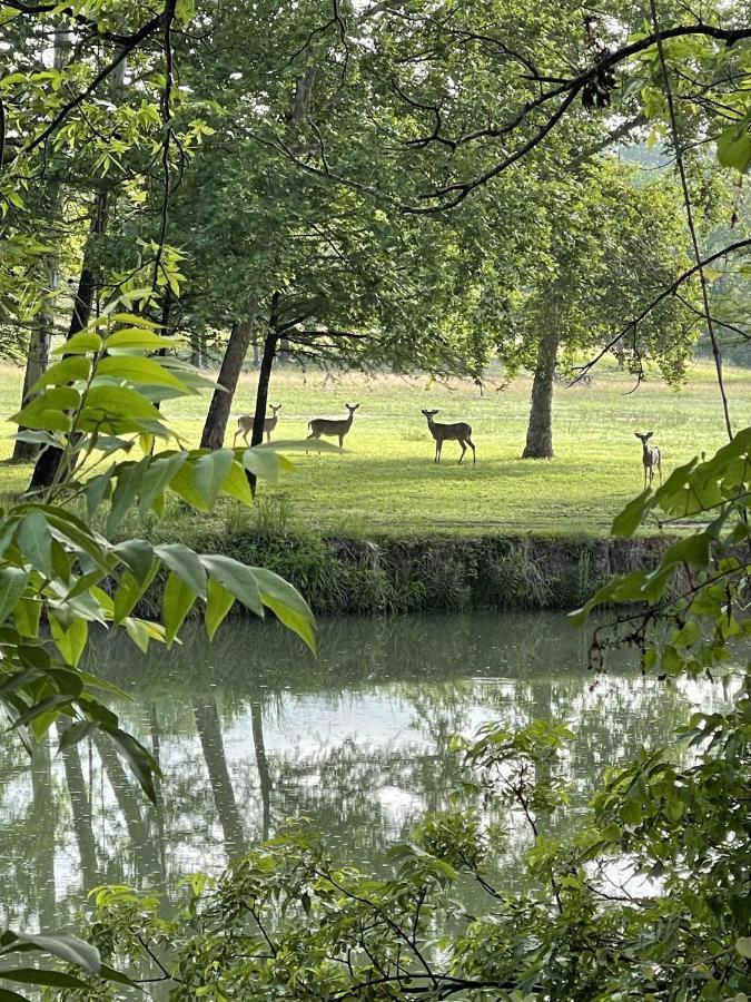 Htr Tx Hill Country Campground Кервилл Экстерьер фото